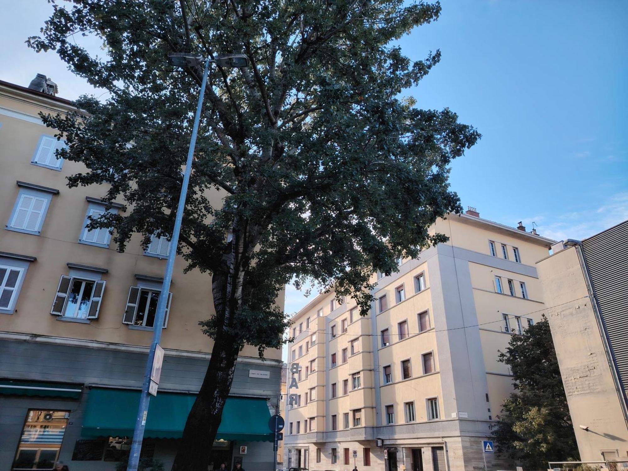 Fabio Haus Trieste Bagian luar foto